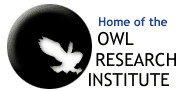 Owl Reasearch Institute