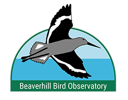 Beaverhill Bird Observatory Logo